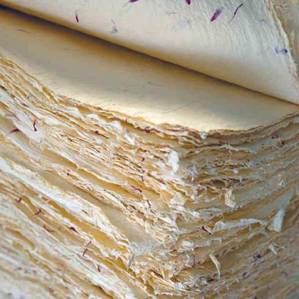 The-Process-10-600x600